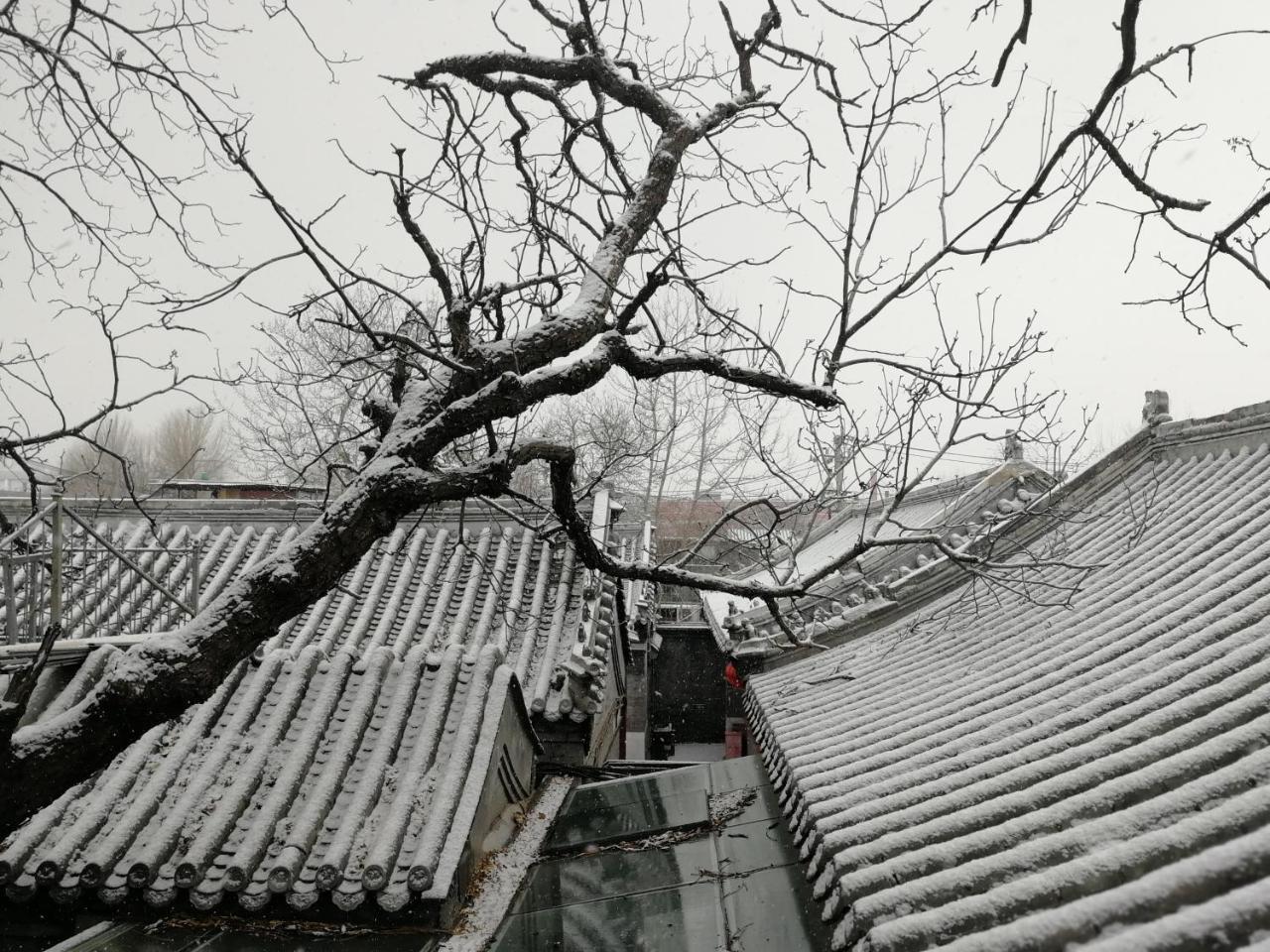 فندق Beijing Fly By Knight Courtyard المظهر الخارجي الصورة
